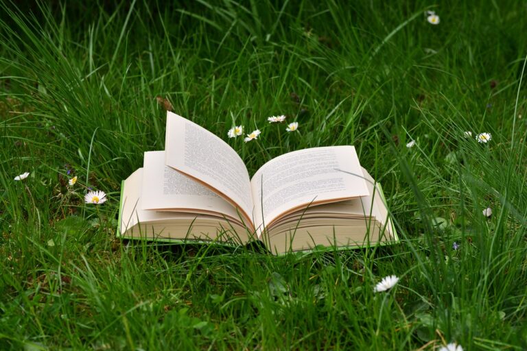 Ein aufgeschlagenes Buch liegt in einer grünen Wiese.