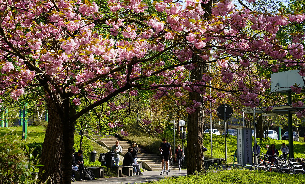 Campus der Universität Paderborn